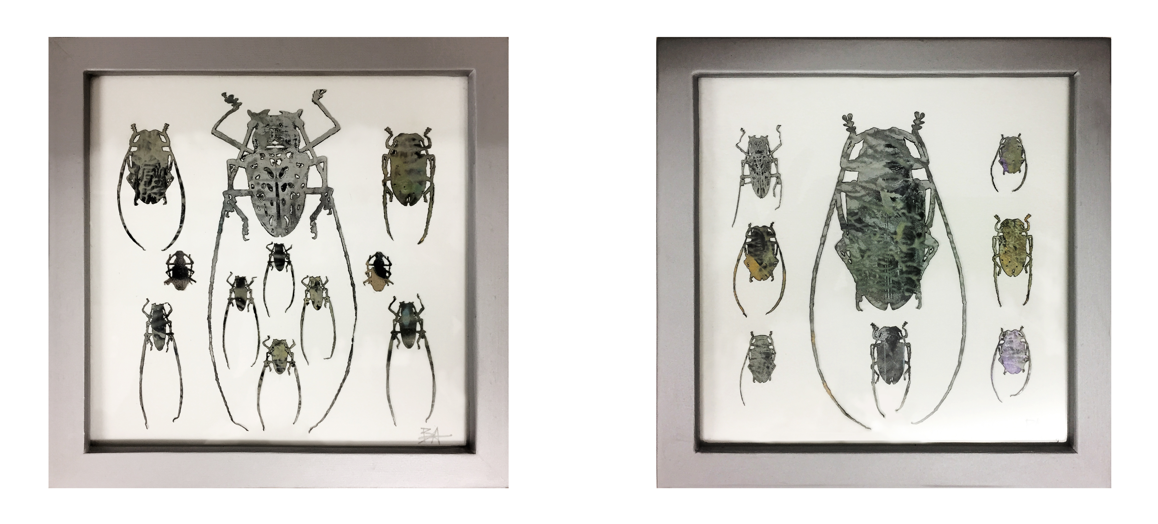 02_B-Amarger-insectoscopies_coleopteres_peinture-15X33